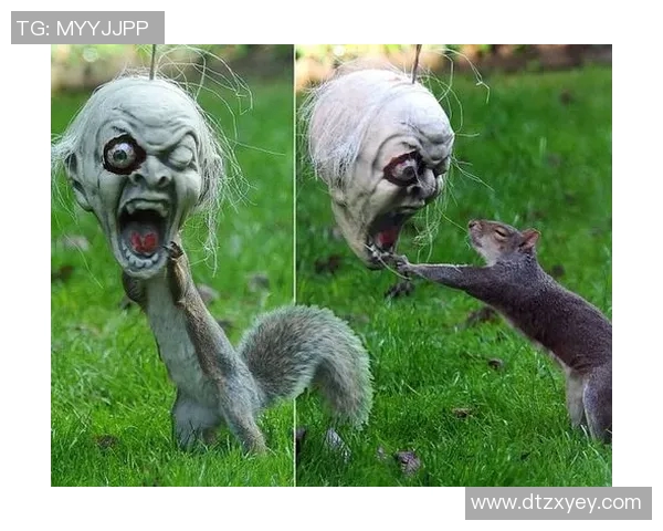 你不知道的凯尔特人：十大冷知识大揭秘