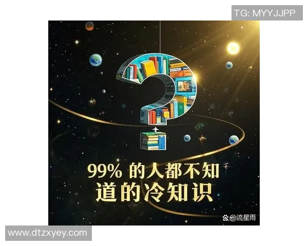 你不知道的掘金：揭开十大冷知识背后的神秘面纱